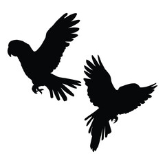 Flying Parrot Silhouette on a Clean White Background