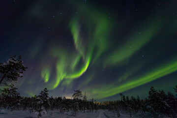 Fototapeta na wymiar Aurora borealis Green in Murmansk region, Russia
