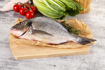 Raw dorada fish served rosemary