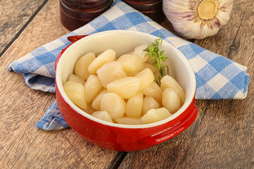 Raw scallop seafood in the bowl