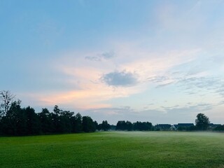 Tender fog in the green field
