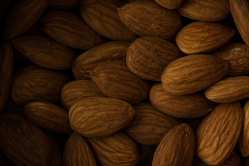 Raw Almonds In Natural Light