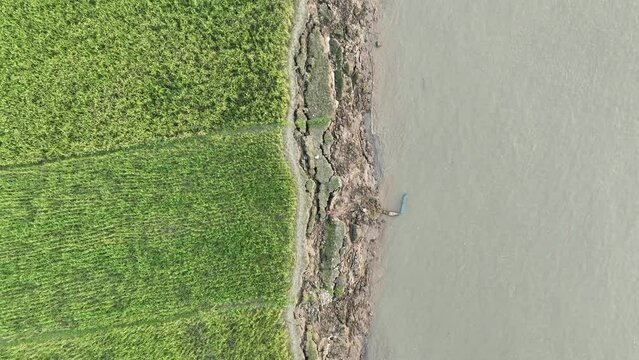 Soil erosion ditch around a running water, wild spring village river cliff, sheer shore. Precipice and water erosion gully, vertical bank of a river panorama landscape 4k