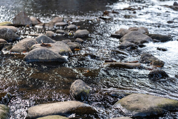 The waterfall flows over the stones in the stream