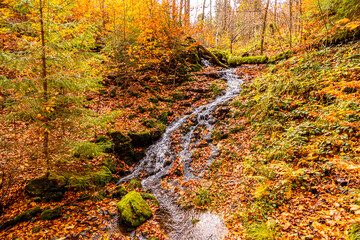 Herbstliche Wanderung durch den Spittergrund bei Tambach-Dietharz zum Wasserfall  - Thüringer Wald...