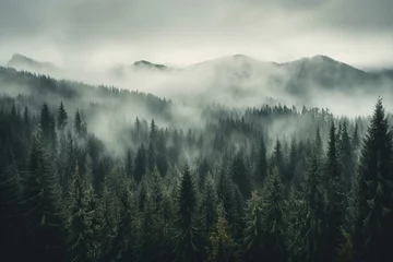 Foto op Plexiglas Misty forest in a bleak landscape with foggy mountains and fir trees. Generative AI © Darian