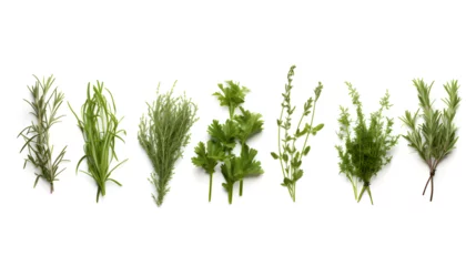 Foto op Plexiglas herbs isolated on white background. mint, basil, sage, thyme, parsley, dill, rosemary © isbah