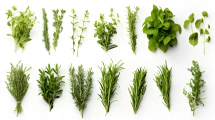 Schilderijen op glas herbs isolated on white background. mint, basil, sage, thyme, parsley, dill, rosemary, etc. © isbah
