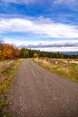 Herbstliche Wanderung durch den Spittergrund bei Tambach-Dietharz zum Wasserfall  - Thüringer Wald - Thüringen - Deutschland