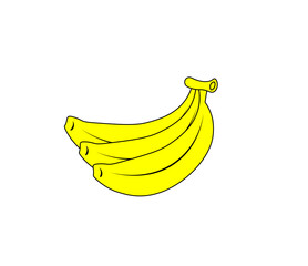 Bananas vector illustration on white background