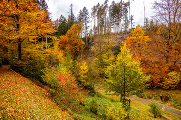 Herbstliche Wanderung durch den Spittergrund bei Tambach-Dietharz zum Wasserfall  - Thüringer Wald - Thüringen - Deutschland