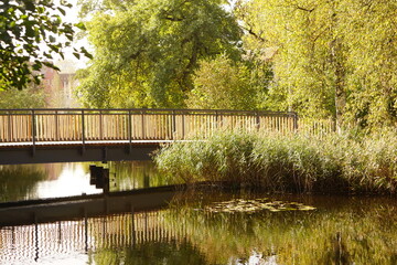 Aufnahme Brücke spielt sich grün im Wasser im Kurpark Bad Wurzach