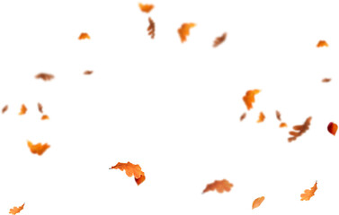 set of leaves. autumn leaves border. Falling  Maple Leaves PNG , Flying Leaves, Leaves PNG. Autumn leaves png 