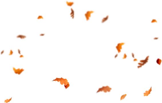 set of leaves. autumn leaves border. Falling  Maple Leaves PNG , Flying Leaves, Leaves PNG. Autumn leaves png 