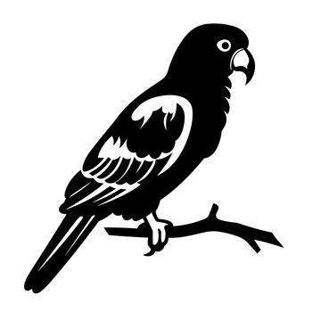 recommend clip art: Parrot black icon on white background. Parrot silhouette