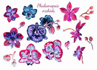 Set of flowers and buds of phalaenopsis orchids in purple and blue tones, watercolor illustration, floral details for various designs, isolated on white background - 673308443