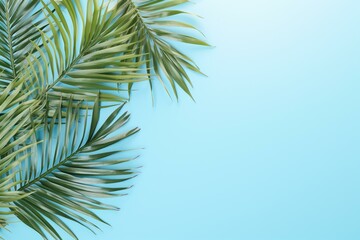 Fototapeta na wymiar Summer vibe. Tropical foliage on soft blue. Vacation feel. Overhead. Empty space. Generative AI