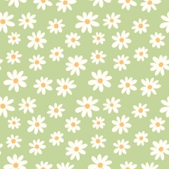 pattern white daisies on a light green background