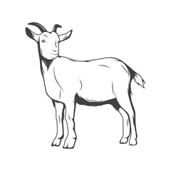 Fototapeta premium Retro Goat Vector