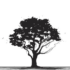 silhouette of big tree in summer on isolated white background