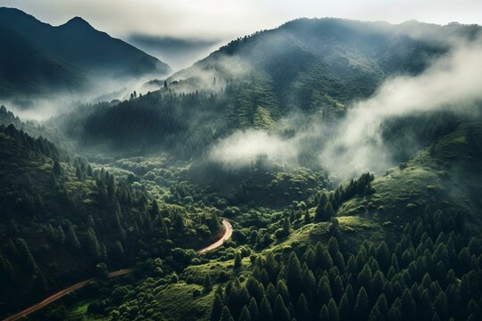 Aerial view of dense forest in Madeira, Portugal, surrounded by mist and vibrant foliage. Generative AI
