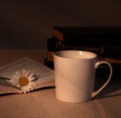 A cup and books on the table lit through the blinds.
