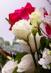 beautiful florist bouquet of roses and freesias