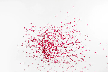 red paint splashes collide isolated Red  splashes on white background . Red Rose petals Falling Png 