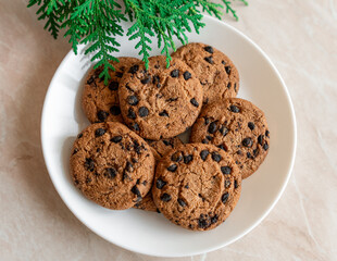 Chocolate cookies on a plate with spruce branches on the table. Dark chocolate cookies on a plate, Christmas cookies chocolate cinnamon sweet dessert holiday treat new year and christmas food
