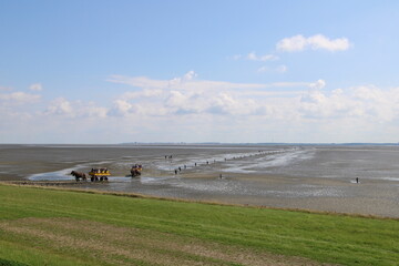Horse carriages arriving on the island of Neuwerk