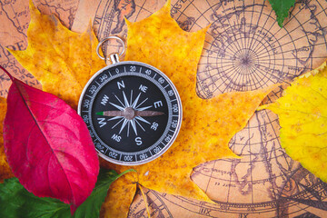 Traveler's compass on map in bright multi-colored autumn leaves. Navigation in autumn.