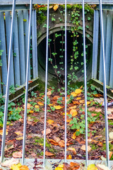 Fototapeta premium Herbstlaub an Abwasserschacht am Waldrand