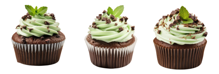 set of mint chocolate cupcakes 