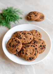 Chocolate cookies on a plate with spruce branches on the table. Dark chocolate cookies on a plate, Christmas cookies chocolate cinnamon sweet dessert holiday treat new year and christmas food