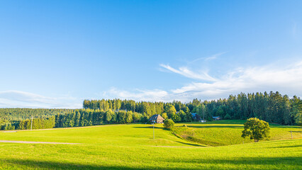 Green landscape in the famous "Schwartzwald" region (Black Forest, Germany) at sunset, with green meadows and farms. Blue sky on the background.