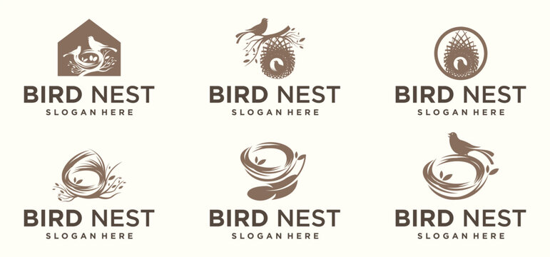 vector natural bird's nest logo, natural root and leaf bird's nest logo