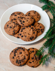 Chocolate cookies on a plate with spruce branches on the table. Dark chocolate cookies on a plate, Christmas cookies chocolate cinnamon sweet dessert holiday treat new year and christmas food