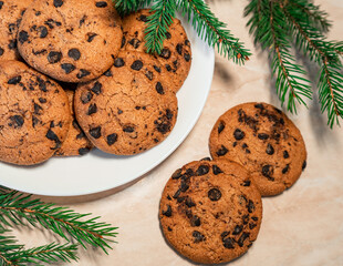 Chocolate cookies on a plate with spruce branches on the table. Dark chocolate cookies on a plate,...