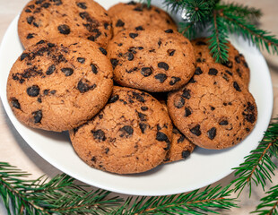 Chocolate cookies on a plate with spruce branches on the table. Dark chocolate cookies on a plate, Christmas cookies chocolate cinnamon sweet dessert holiday treat new year and christmas food