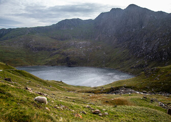 Mountain Trails in Wales