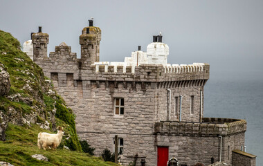Mountain goats and castle