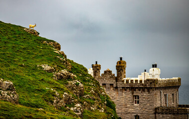 Mountain goats and castle