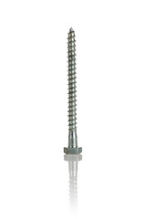 Bolt screw self-tapping screw for connecting fastener elements isolated on a white background