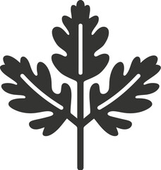 Coriander Icon