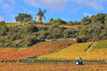 Les vignes près du  moulin à vent Sorine à Santenay, Bourgogne - 673347428