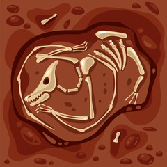 Dinosaur fossil paleontology skeleton archeology jurassic ancient concept. Vector flat graphic design illustration
