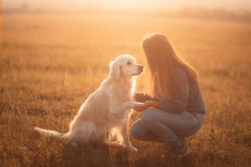 golden retriever dog and a young woman sharing a moment at sunset doing the paw trick - obrazy, fototapety, plakaty