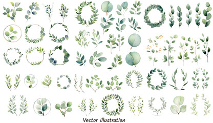 Exotic plants leaf set on an isolated white background, watercolor vector illustration. Wedding frame elements collection. Elegant foliage design for wedding, card, invitation, greeting
 - obrazy, fototapety, plakaty