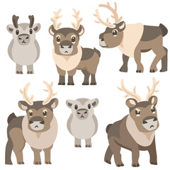 reindeer set cartoon