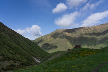 Beautiful Trail in Juta Georgia in Summer